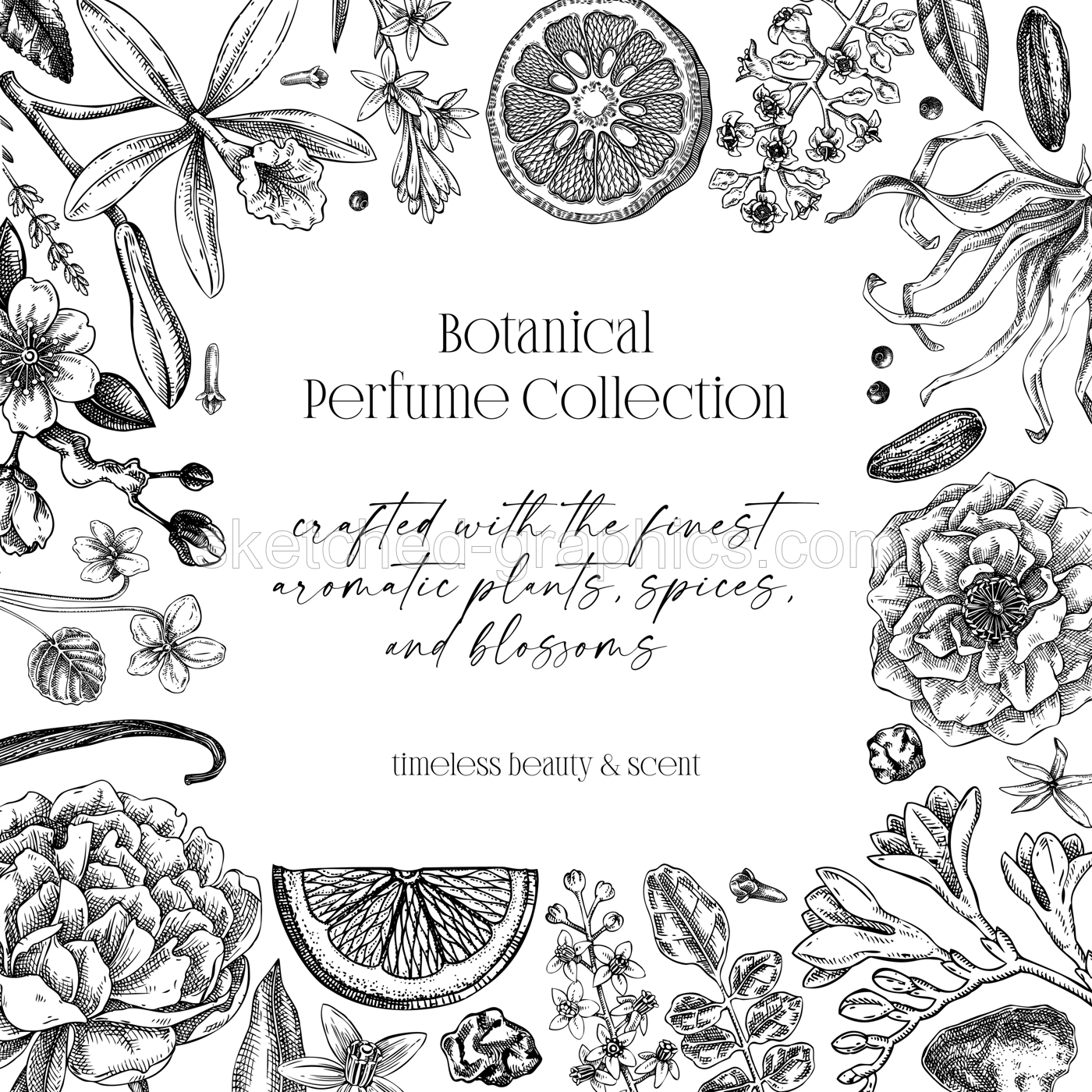 Perfumery ingredients frame design. Aromatic plants and flowers hand drawn vector illustration. Minimalist gift card, floral invitation template. NOT AI generated Illustration